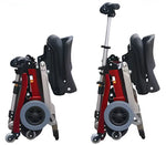 FreeRider Luggie Travel Scooter Classic II