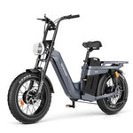 TESWAY X5 AWD Step-Thru E-Bike – 3600W Dual Motor 200 N·m
