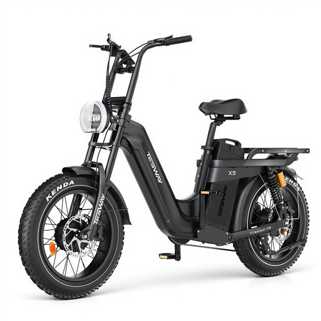 TESWAY X5 Pro Cargo E-Bike – 2000W 200-Mile Family Hauler