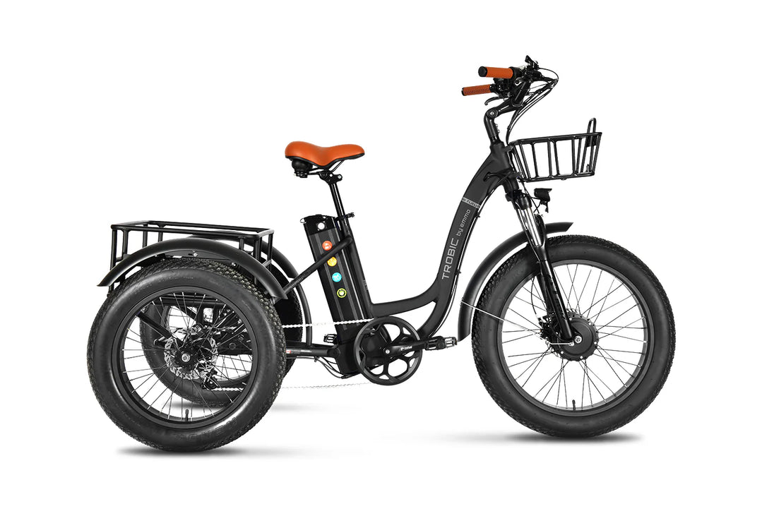 EMMO Trobic Pro Fat Tire Electric Cargo Tricycle with Differential