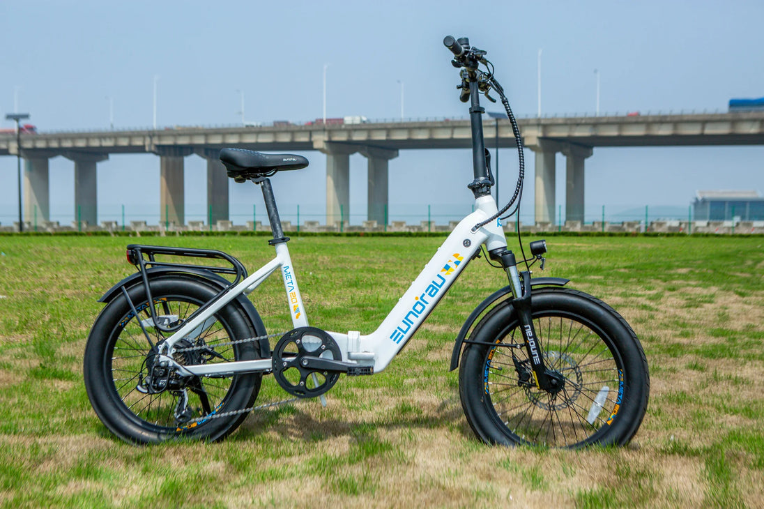 EUNORAU Defender 48V 500W Fat Tire eBike 80mi Dual Battery 27.5"