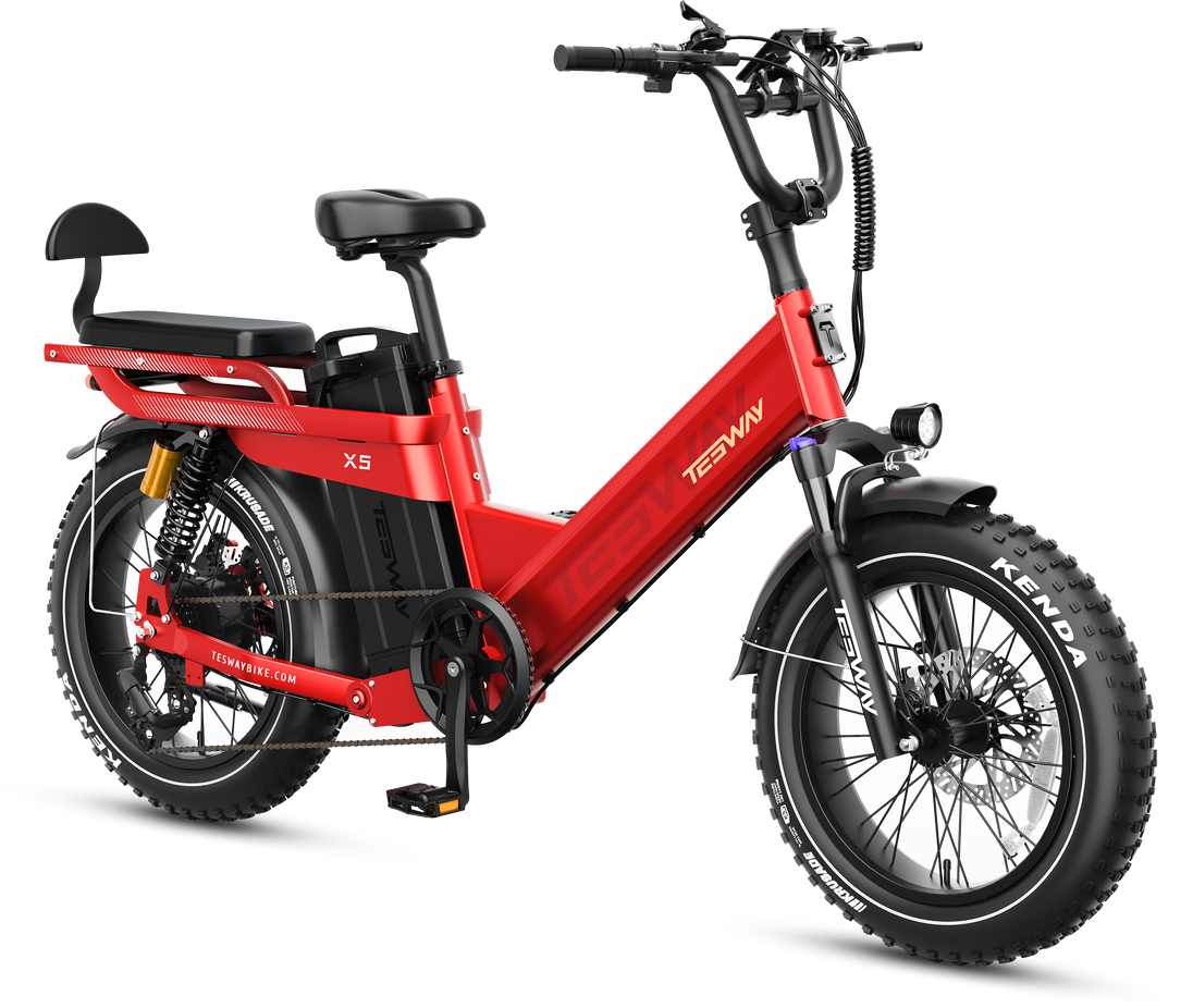 TESWAY X5 Pro Cargo E-Bike – 2000W 200-Mile Family Hauler