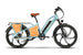 EMMO Ehaul Pro cargo electric bike with extended aluminum rear rack