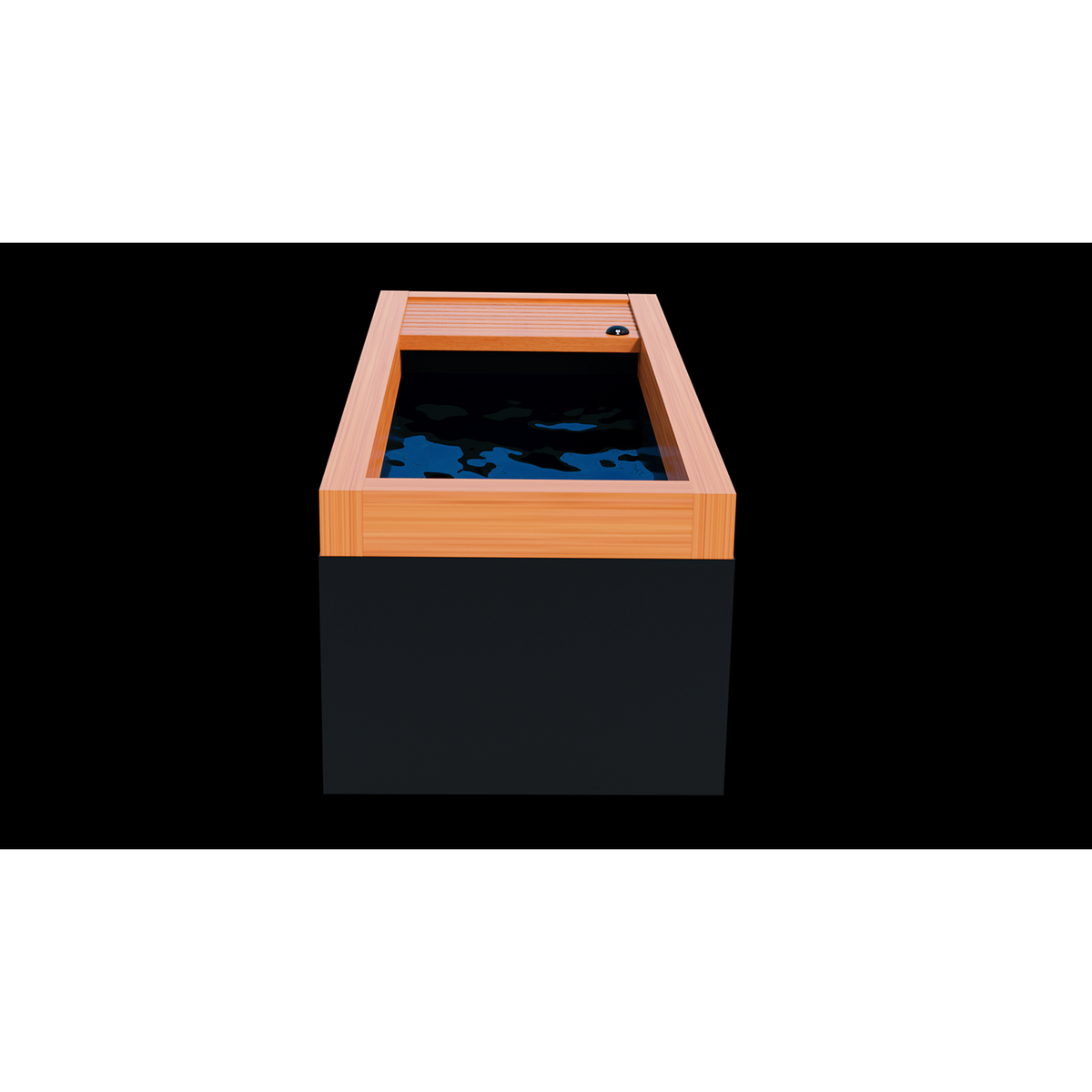 Medical Saunas Frozen 4 Extra Large Cold Plunge