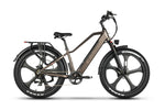 EMMO GRON PRO EBIKE Premium Torque Sensor Fat Tire Ebike