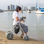 Wheeleez™ All-Terrain Beach Rollator