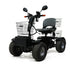 Green Transporter Cheeta Ninja all-terrain mobility scooter