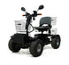 Green Transporter Cheeta Ninja all-terrain mobility scooter