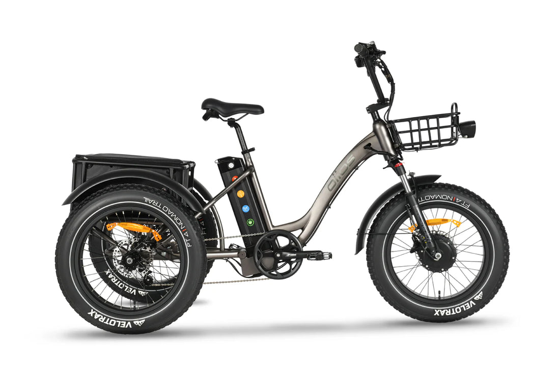 EMMO Oiios Triox Fat Tire Electric Cargo Tricycle with Differential